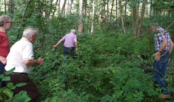 Auf Entdeckungstour: Historikerrunde erforscht das Komptendorfer „Börnchen“